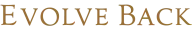 Evolve Back logo